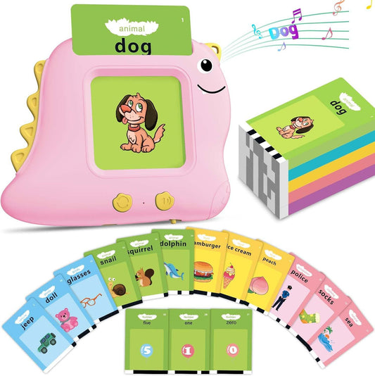 Flash Card Reader