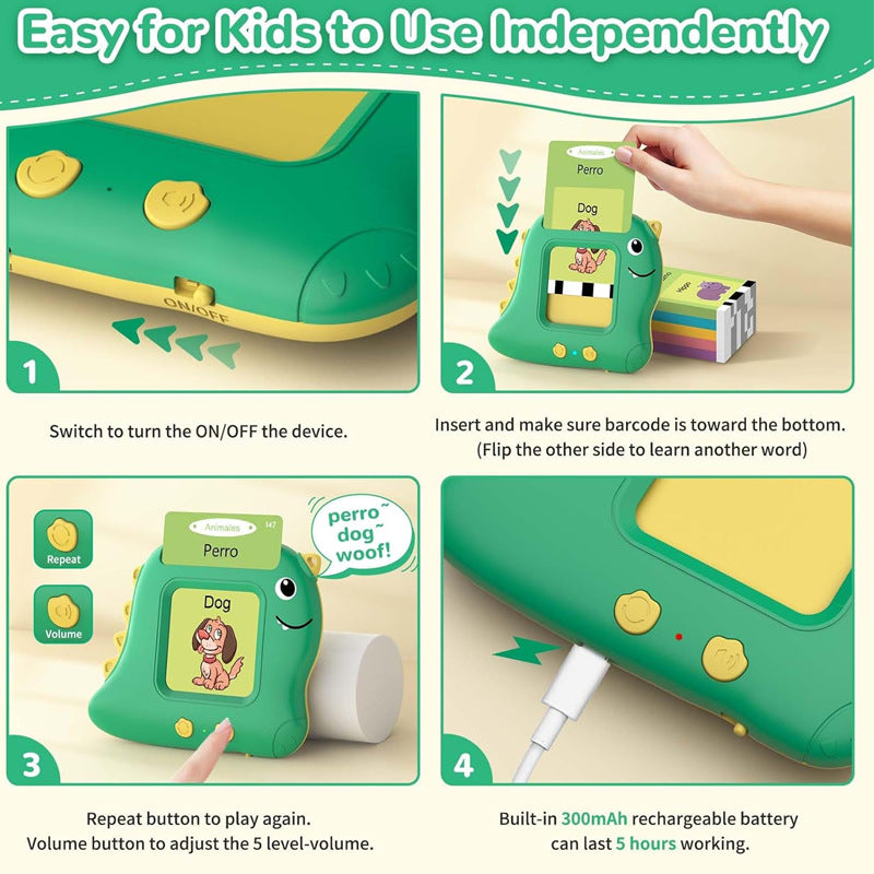 Flash Card Reader